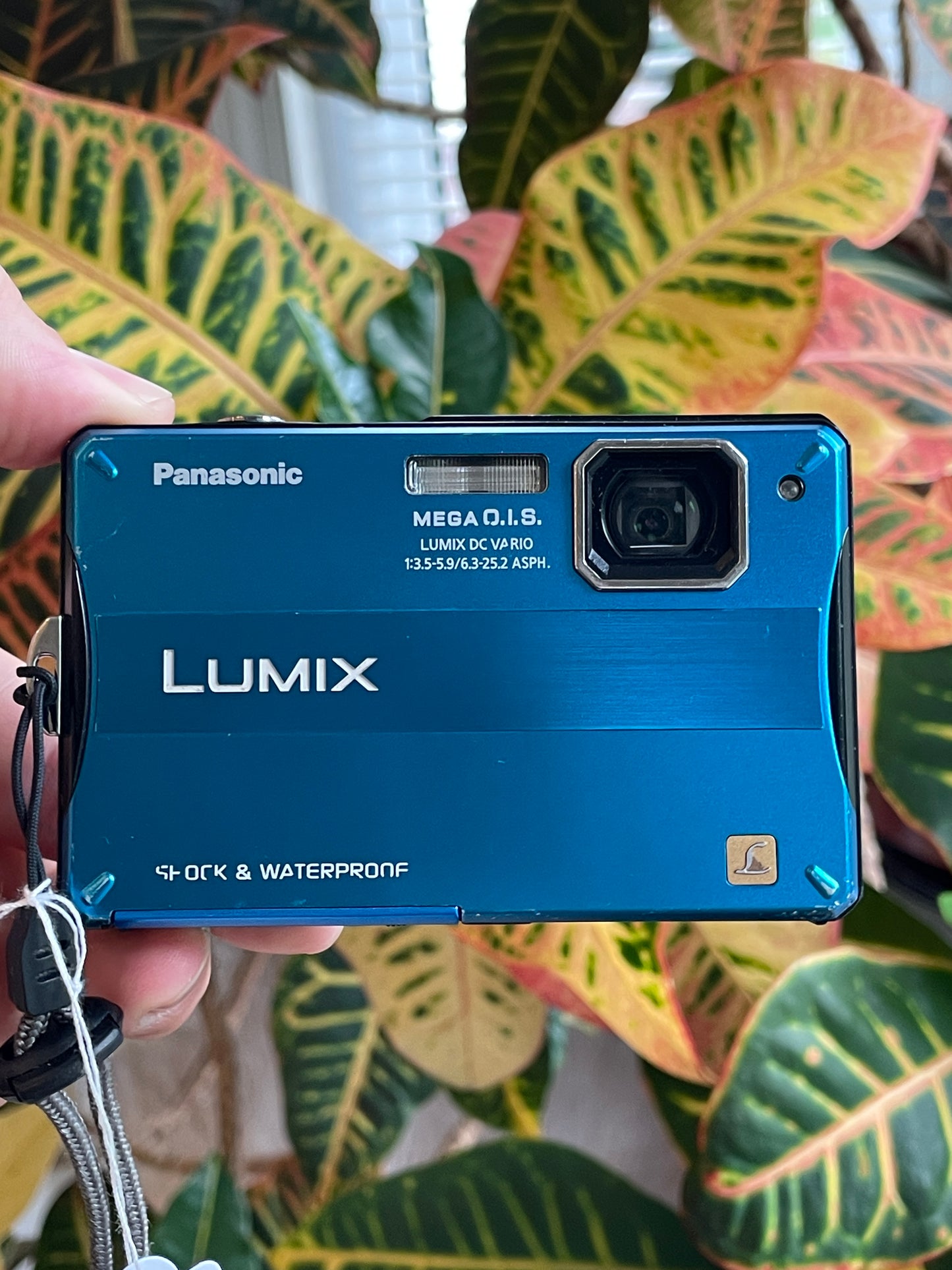 Panasonic Lumix DMC-TS10 14.1 MP Digital Camera Bundle - Blue