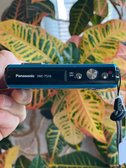 Panasonic Lumix DMC-TS10 14.1 MP Digital Camera Bundle - Blue