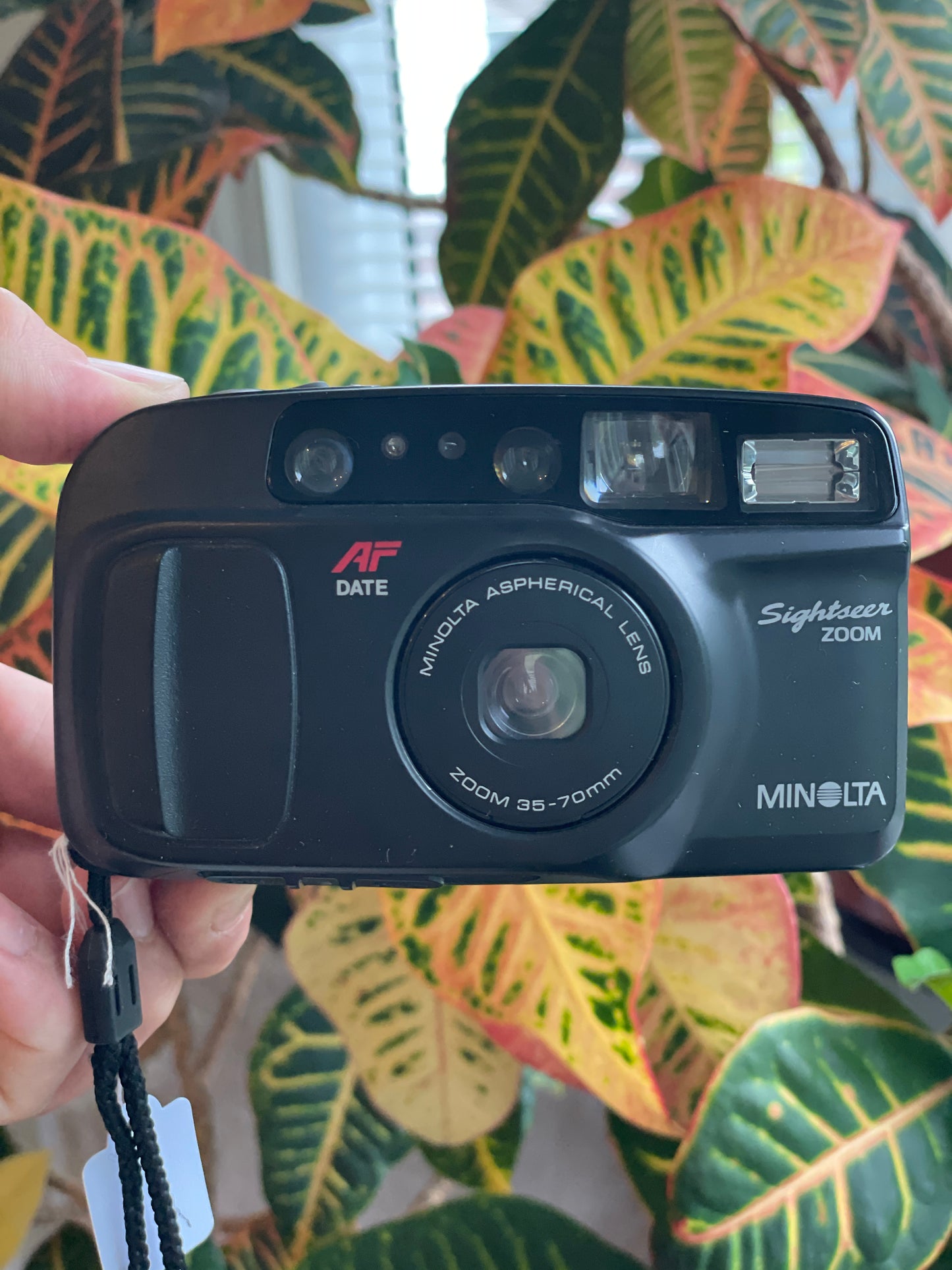 Minolta Freedom Sightseer Zoom 35mm Film Camera Bundle - In Box