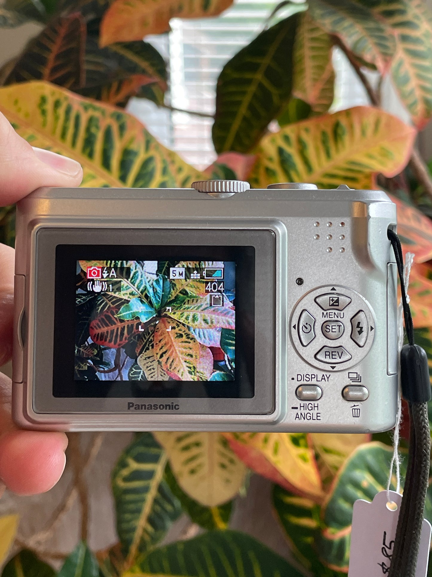 Panasonic Lumix DMC-LZ3 5.0 MP Digital Camera Bundle - Silver - In Box