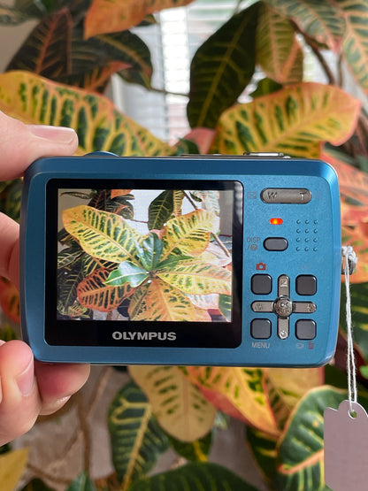 Olympus Stylus-550WP 10 MP Digital Camera Bundle - Blue - Original Box