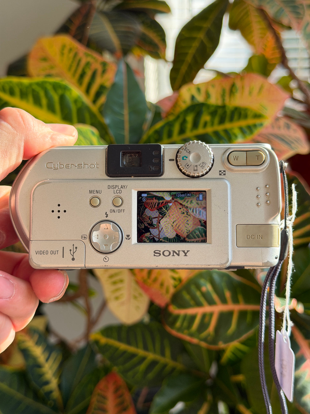 Sony Cyber-shot DSC-P71 digital camera LCD screen