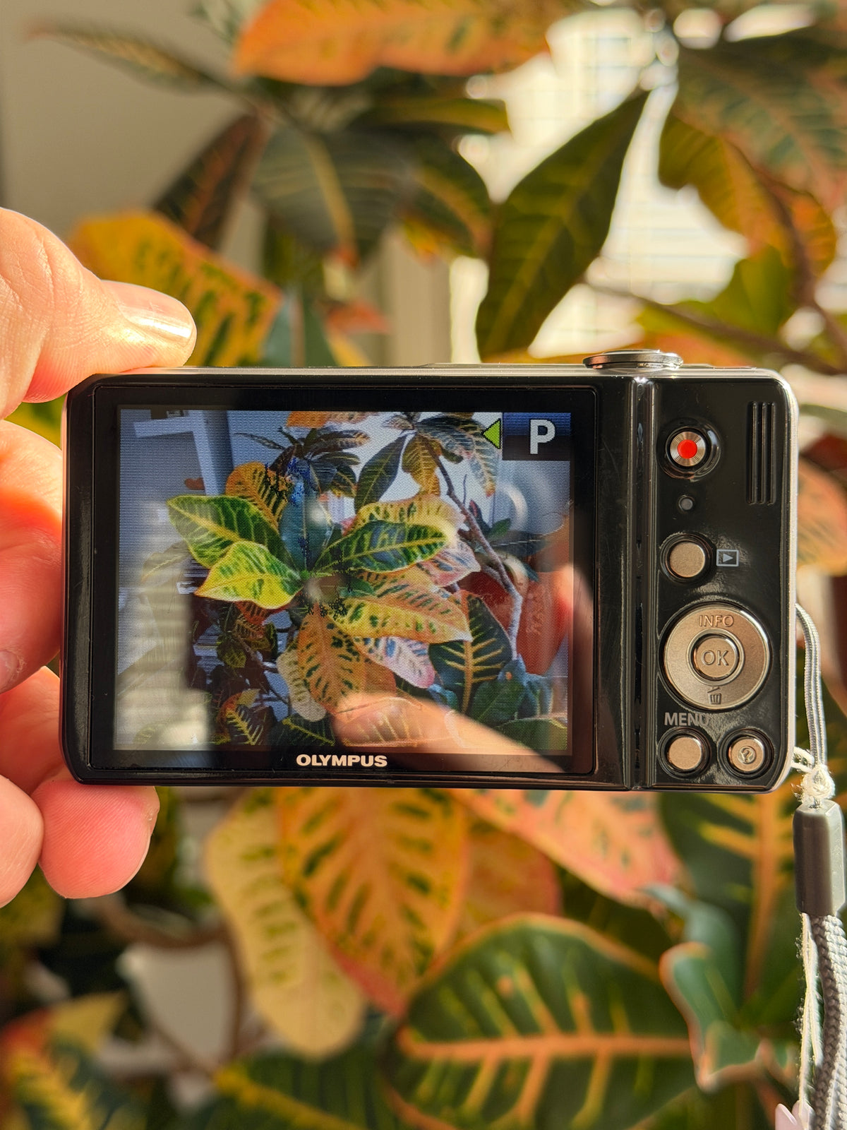 Olympus VR-320 digital camera LCD screen