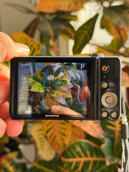 Olympus VR-320 digital camera LCD screen
