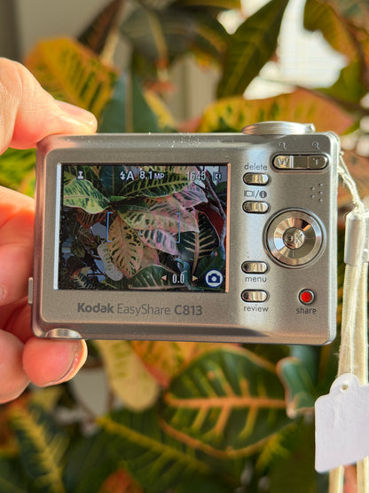 Kodak EasyShare C813 digital camera LCD screen
