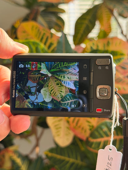 Kodak EasyShare M530 digital camera LCD screen