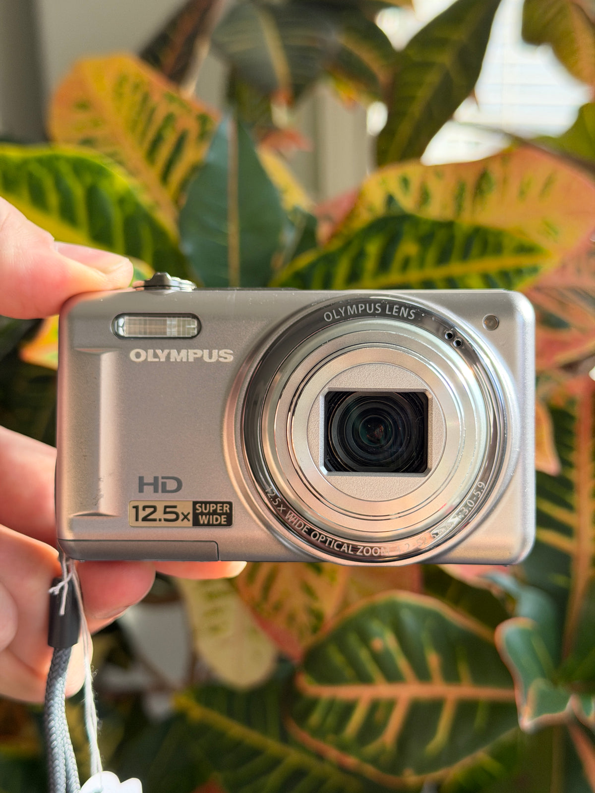 Olympus VR-320 digital camera held in hand