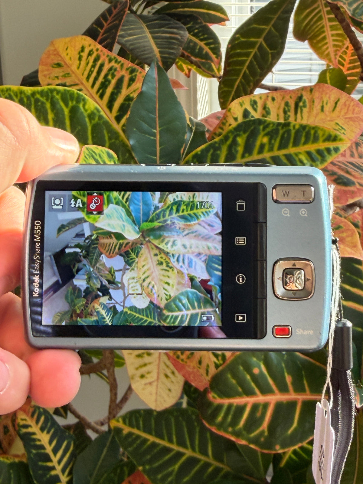 Kodak EasyShare M550 digital camera LCD screen