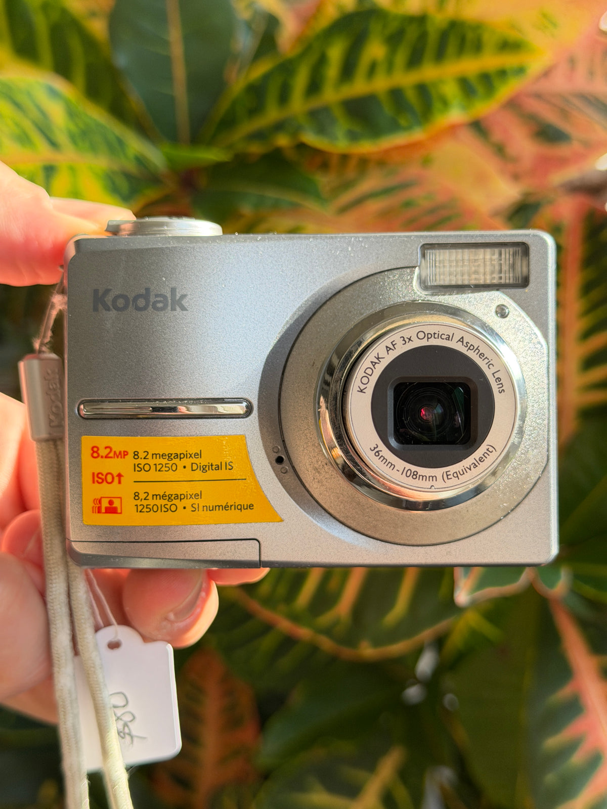 Kodak EasyShare C813 digital camera held in hand
