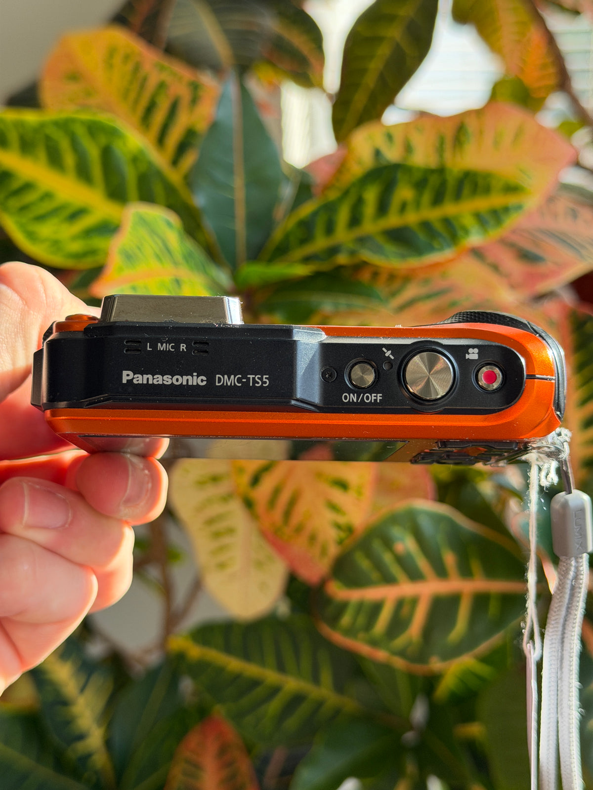 Panasonic Lumix DMC-TS5 digital camera top view