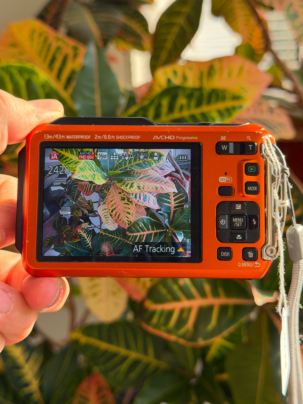 Panasonic Lumix DMC-TS5 digital camera LCD screen