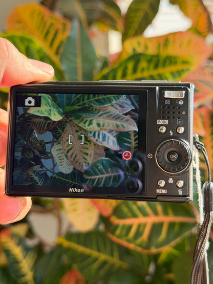 Nikon Coolpix S52 digital camera LCD screen
