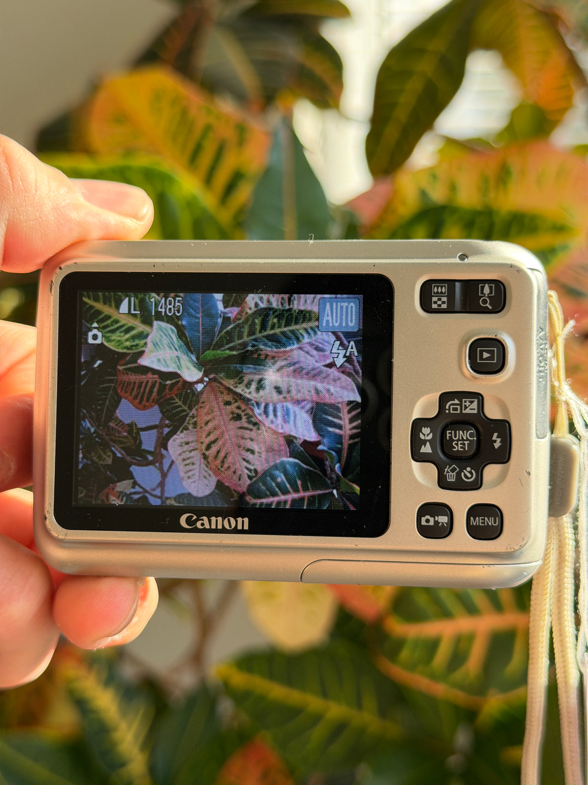 Canon PowerShot A495 digital camera LCD screen