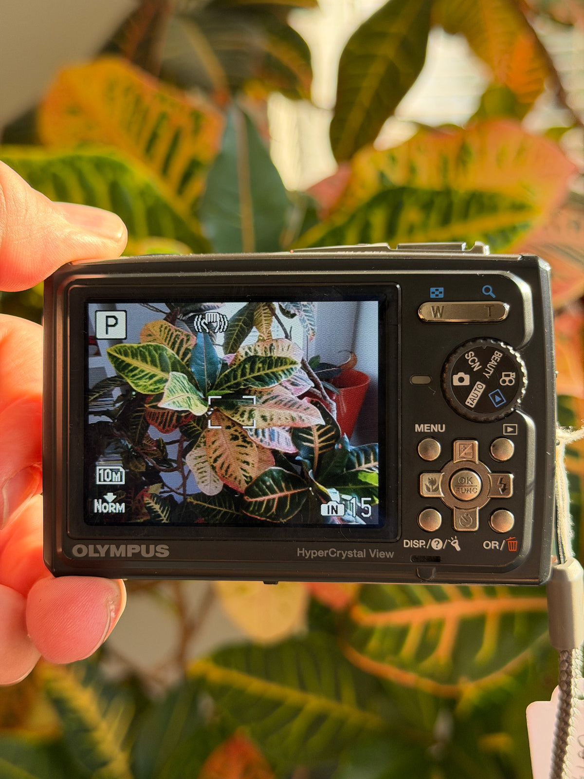Olympus Stylus Tough-6000 digital camera LCD screen