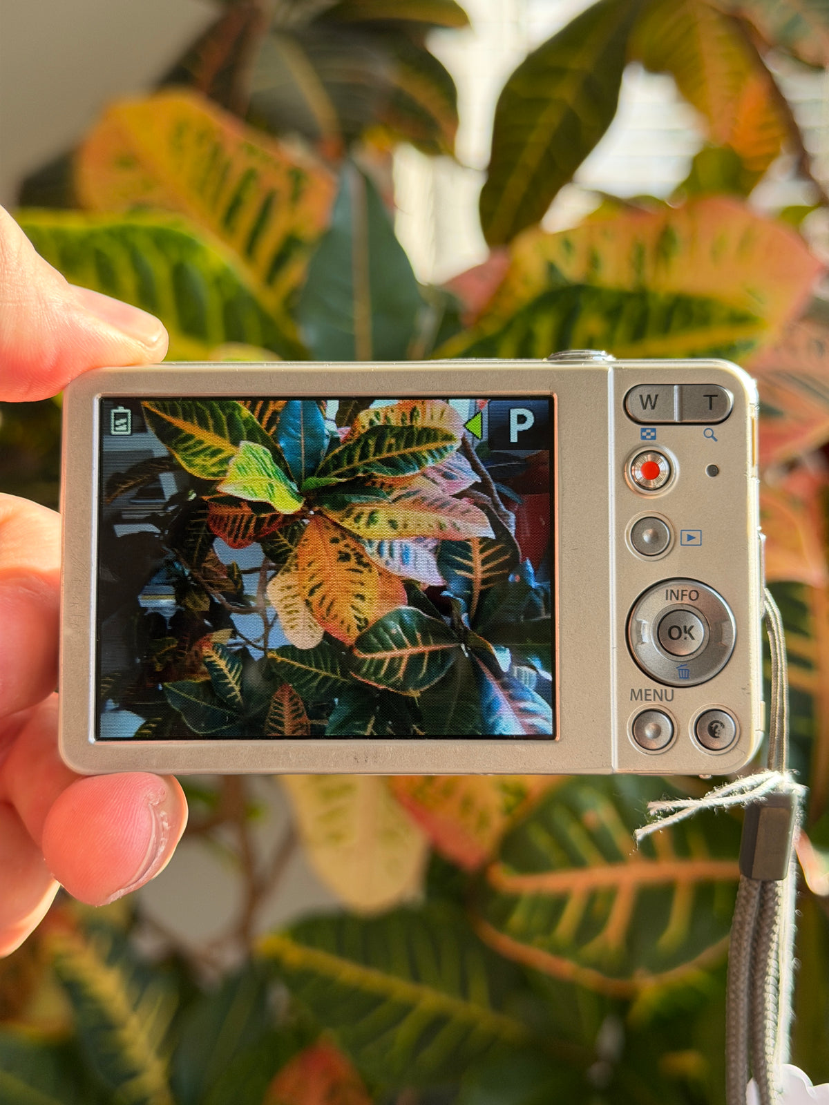 Olympus VG-120 digital camera LCD screen