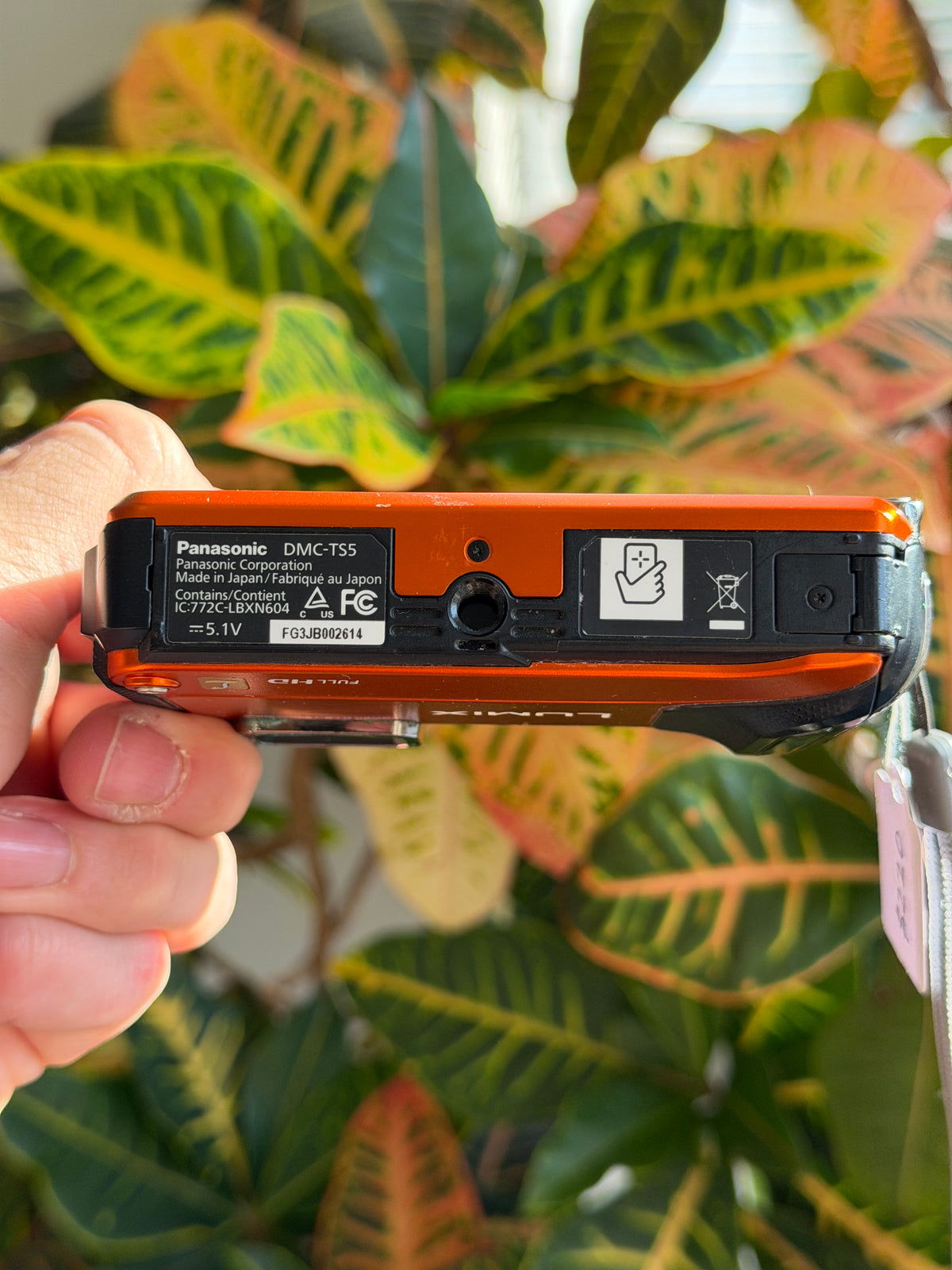 Panasonic Lumix DMC-TS5 digital camera bottom view