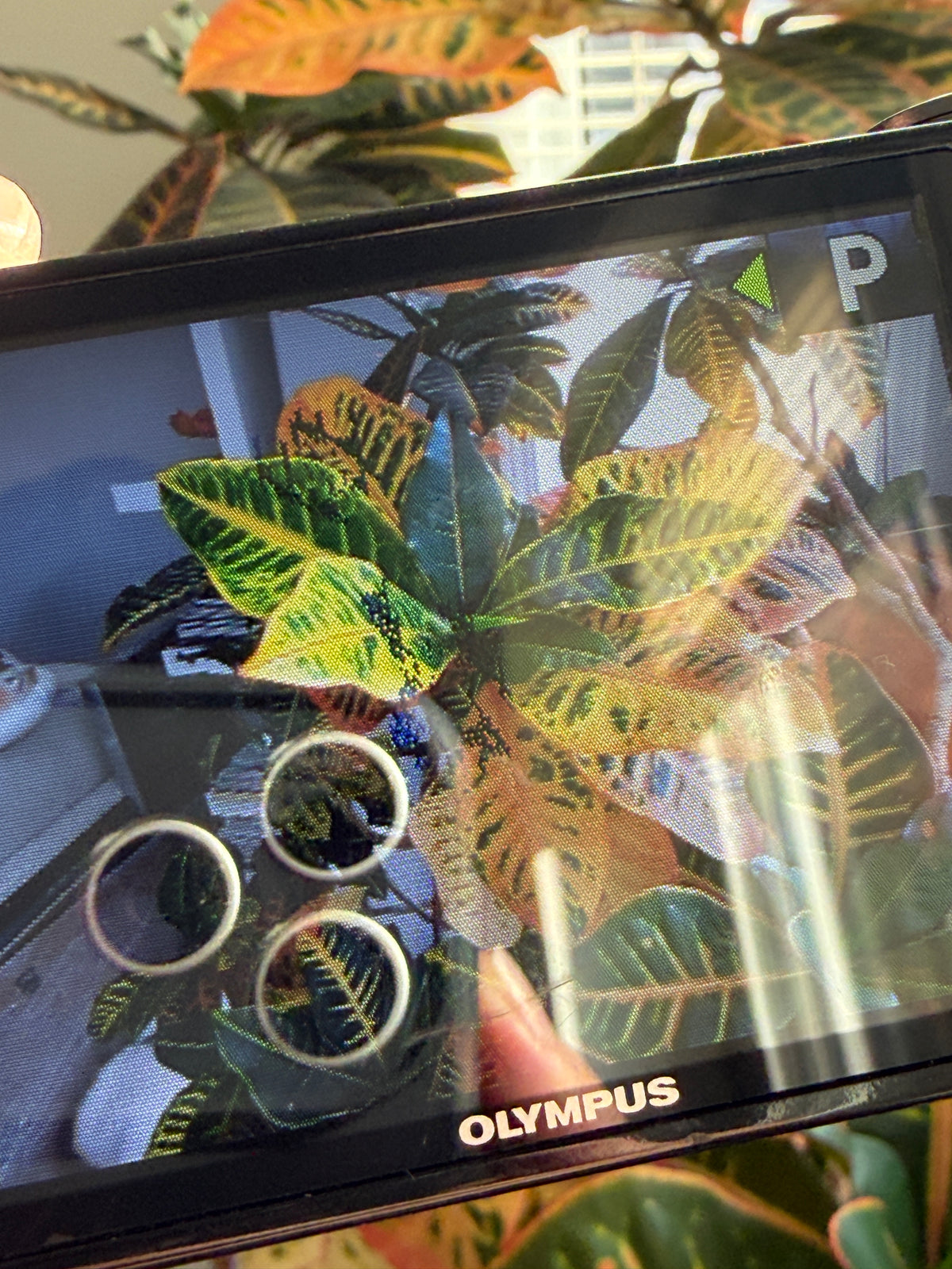 Olympus VR-320 digital camera close-up of cosmetic screen damage