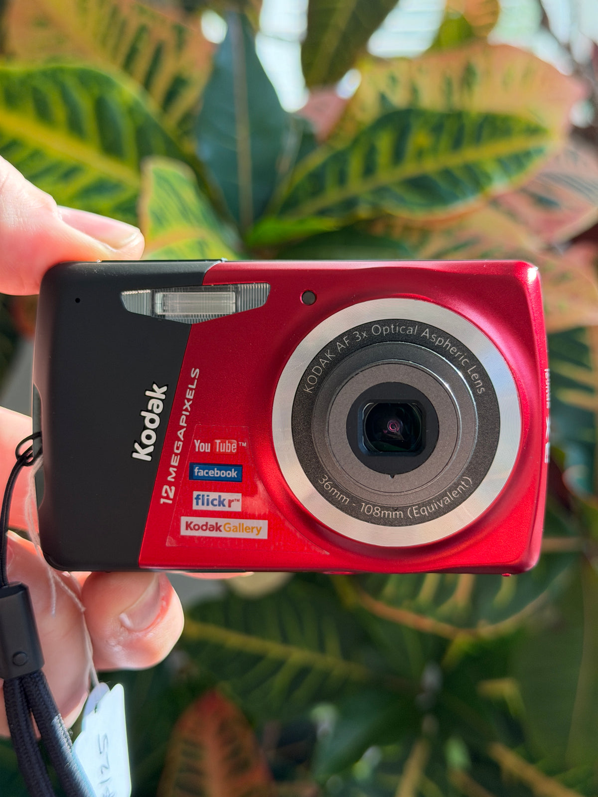 Kodak EasyShare M530 digital camera held in hand